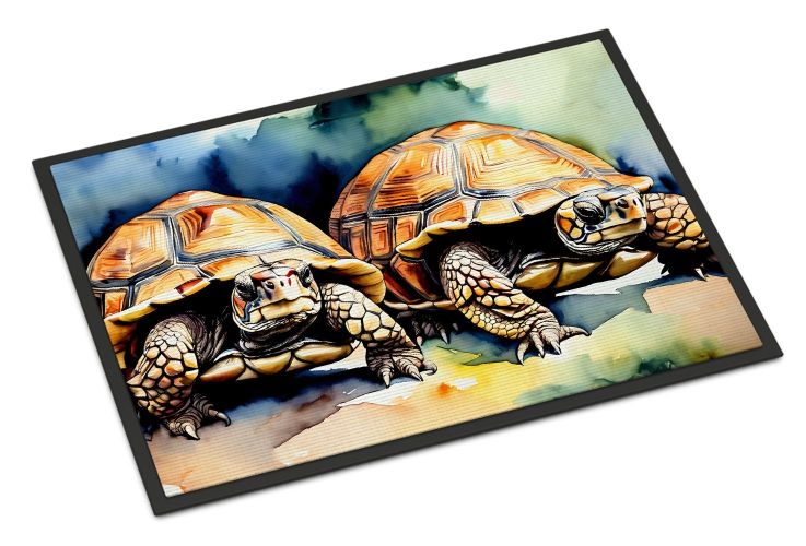 Turtles Tortoises Doormat Front Door Mat Indoor Outdoor Rugs for Entryway, Non Slip Washable Low Pile, 24H X 36W